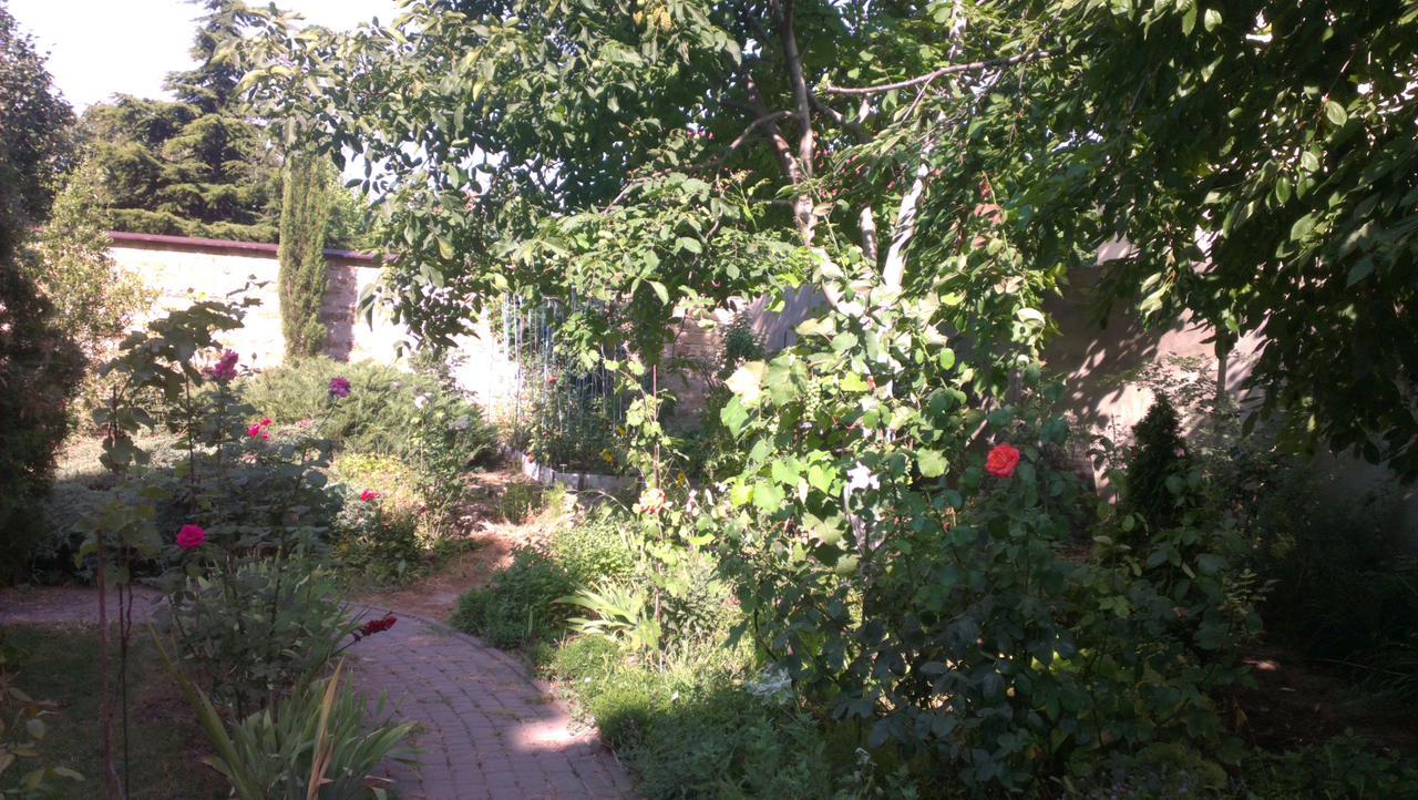 Guest house звёздный *