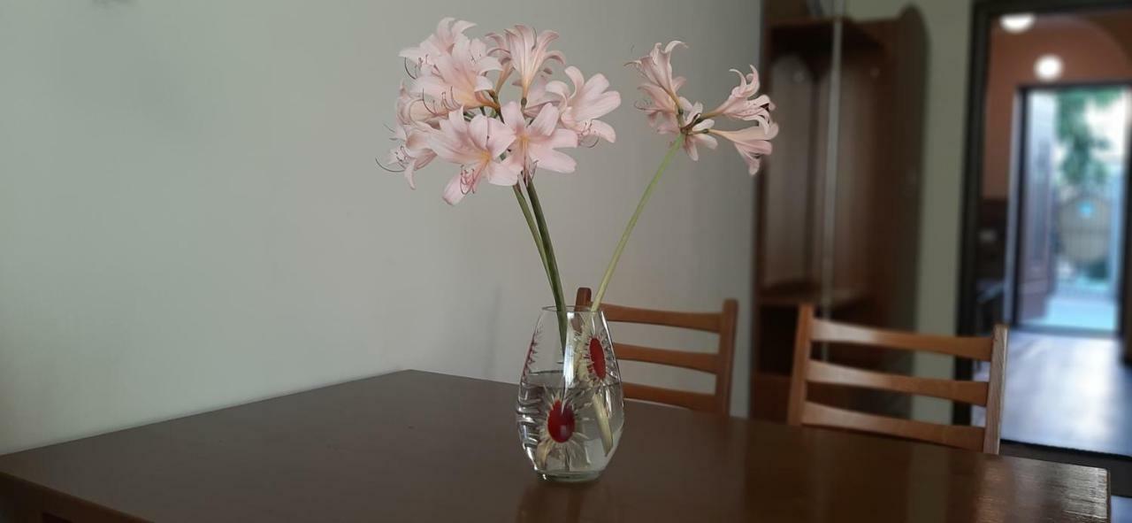 Guest house звёздный