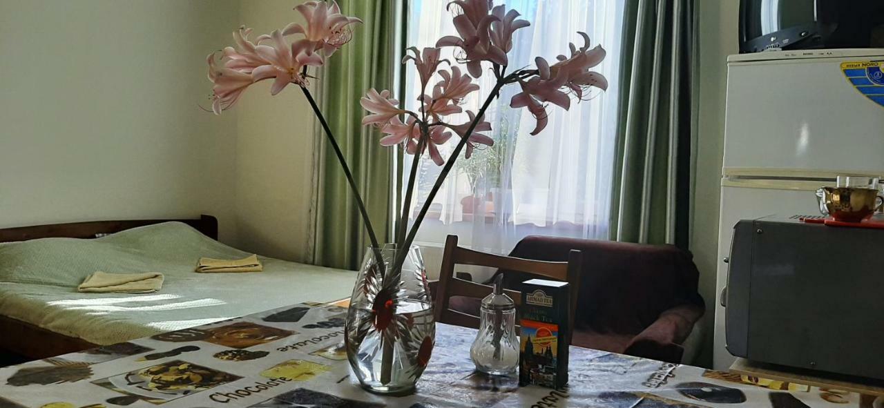 Guest house звёздный *