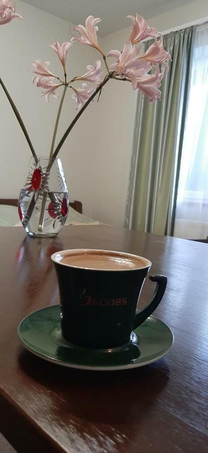 Guest house звёздный Odesa